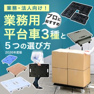 れの★ご家庭用貴陽★5キロ箱使用　クール便 台車 折りたたみ 軽量 コンパクト プレミアムコンパクトCarry OTG-HS