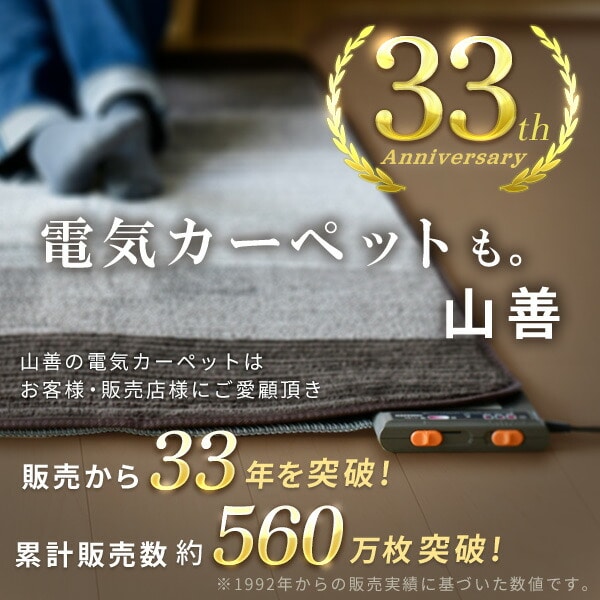 フローリング調ホットカーペット 1畳 1.6畳 2畳 3畳 防水 YZC-109FL/YZC-169FL/YZC-209FL/YZC-309FL 山善 YAMAZEN
