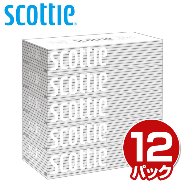 スコッティ ティッシュペーパー 200組5箱×12パック(60箱) 日本製紙クレシア