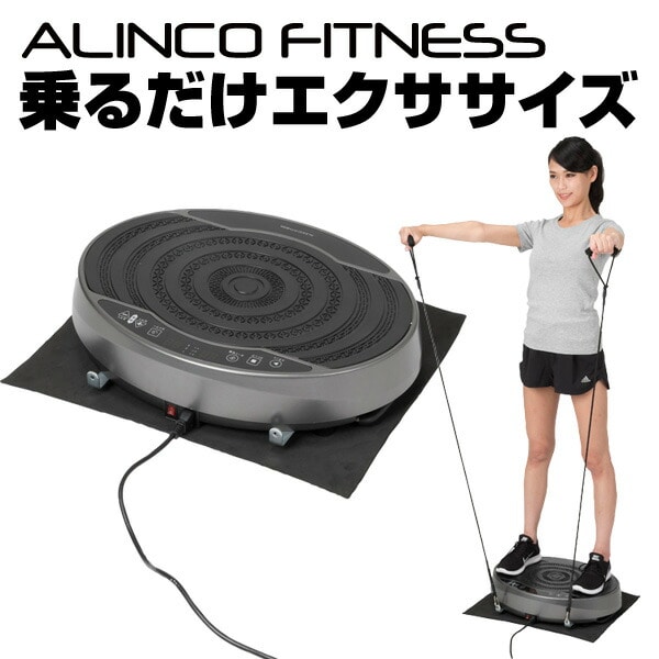 ALINCO わざとらしい FITNESS 3D振動マシン バランスウェーブビート 良品