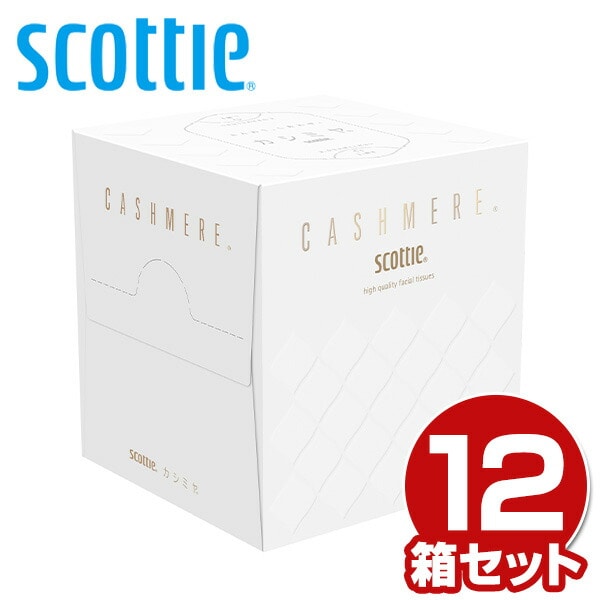【10％オフクーポン対象】スコッティ カシミヤ キューブ ティッシュペーパー 日本製 160枚(80組) ×12箱 日本製紙クレシア