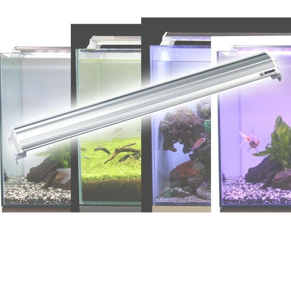 LEDランプ 60cm 水槽用 照明 ライト ゼンスイ【10％オフクーポン対象】