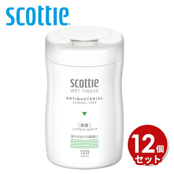スコッティ ウェットティッシュ 120枚入り×12個 ノンアルコール・天然除菌成分配合 日本製紙クレシア