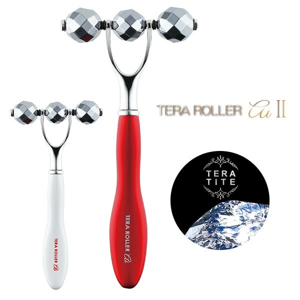 テラローラーアイ2（TERA ROLLER ai Ⅱ）