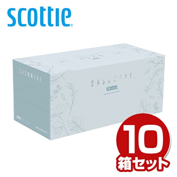 スコッティ カシミヤ ティッシュペーパー エレガント 440枚(220組)×10箱 日本製紙クレシア