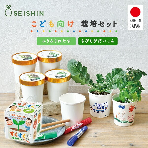 すくすく栽培セットBOX (ちびちびだいこん/ふりふりれたす) こども向け 日本製 GD-947 聖新陶芸 SEISHIN