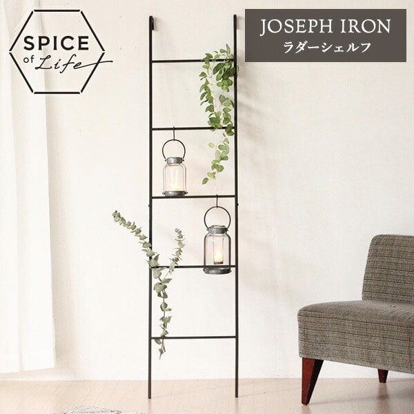 JOSEPH IRON ジョセフアイアン ラダーシェルフ 組立式 W38×D5×H165cm DTFF9240 スパイス SPICE OF LIFE