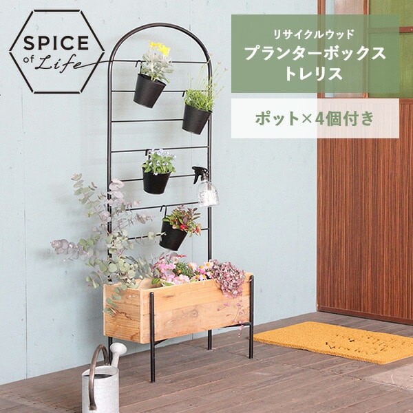 リサイクルウッド プランターボックストレリス ポット付き TJXT1069 スパイス SPICE OF LIFE