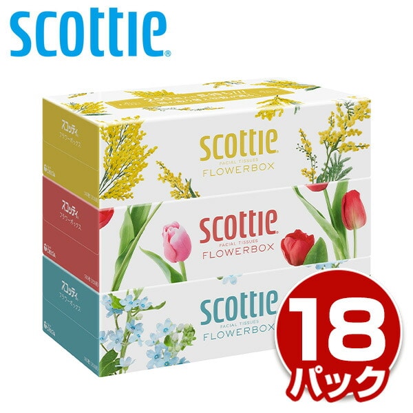 スコッティ ティッシュペーパー フラワーボックス 500枚(250組)3箱×18パック(54箱) 日本製紙クレシア