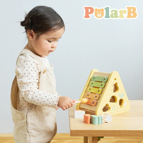 バニーシリーズ アクティビティボックス/5in1(対象年齢18ヶ月から) TYPR44291 ポーラービー Polar B