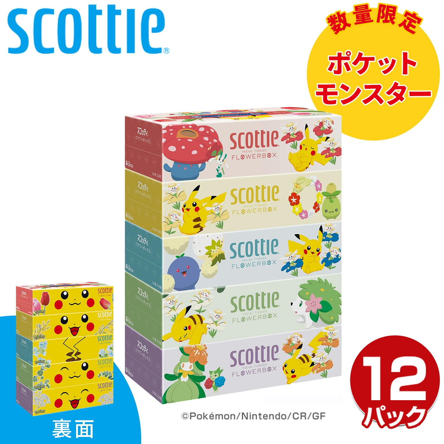 【ポケモン仕様】 スコッティ ティッシュペーパー フラワーボックス 500枚(250組) ポケットモンスター 限定パッケージ 5箱×12パック(60箱) 日本製紙クレシア