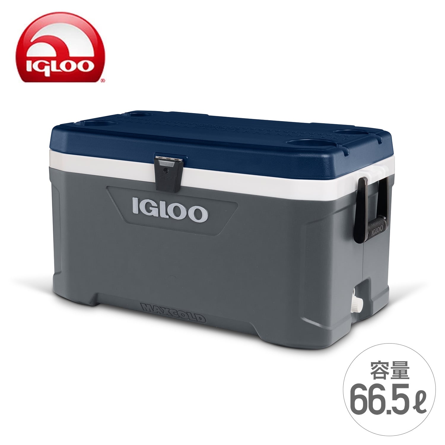 クーラーボックス 大型 マックスコールド ラティチュード70 (66.5L) 49972 カーボナイト イグルー IGLOO