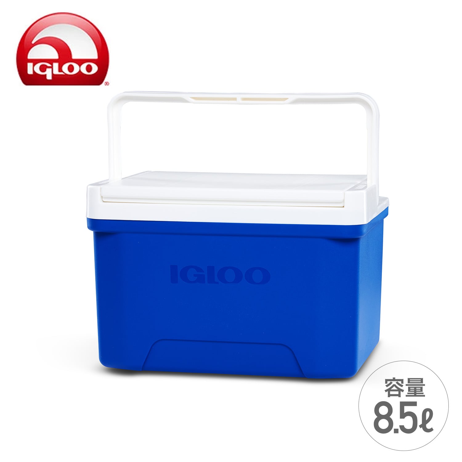 クーラーボックス 小型 8.5L クール9 32855 イグルー IGLOO