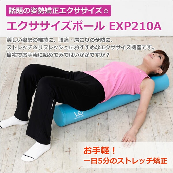 販売終了】エクササイズポール EXP210A アルインコ | 山善ビズコム