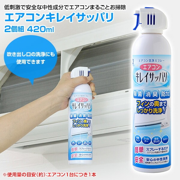 エアコンキレイサッパリ 2個組 420ml A-65454 アーネスト