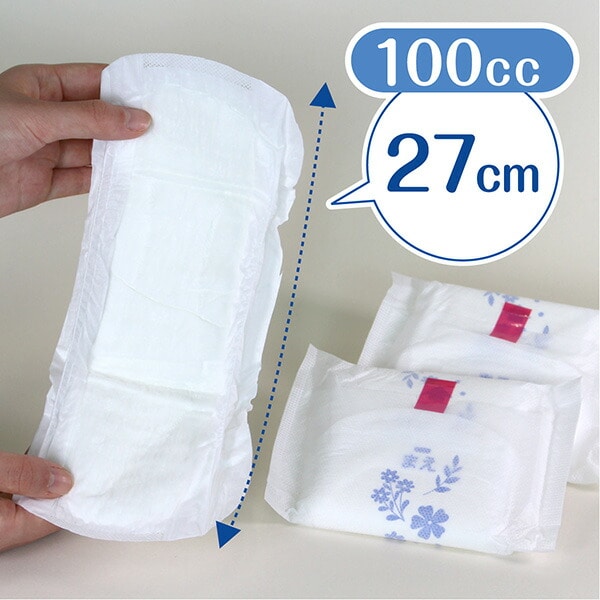 ポイズ さらさら素肌 吸収ナプキン 安心の中量用 (吸収量目安100cc)12枚×12パック(144枚) (無地ダンボール仕様) 日本製紙クレシア