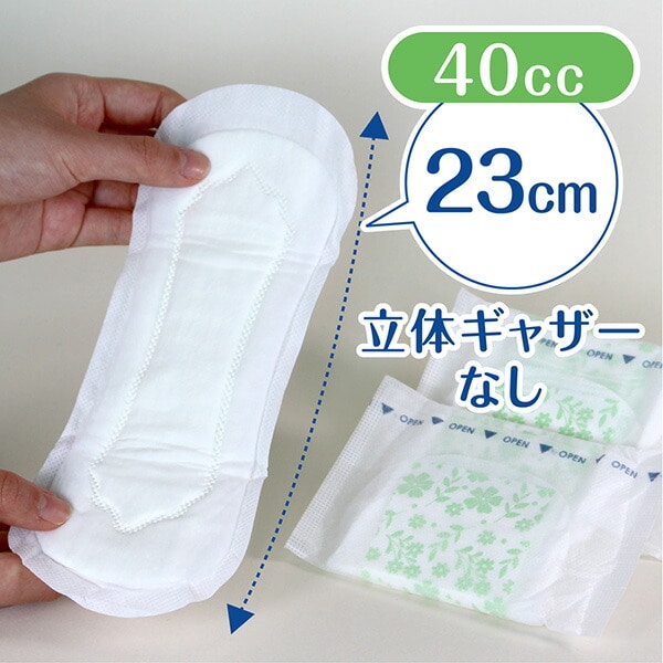 ポイズ さらさら素肌吸水ナプキン 安心の少量用(吸収量目安40cc) 立体ギャザーなし22枚×12パック 日本製紙クレシア
