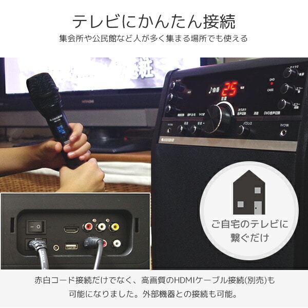 カラオケ DVDカラオケシステム ワイヤレスマイク2本付き DVD-K110