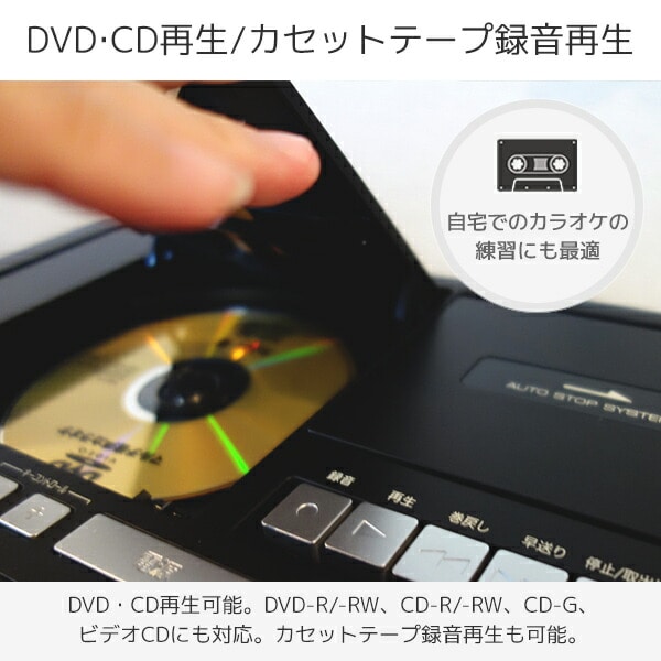 カラオケ DVDカラオケシステム ワイヤレスマイク2本付き DVD-K110