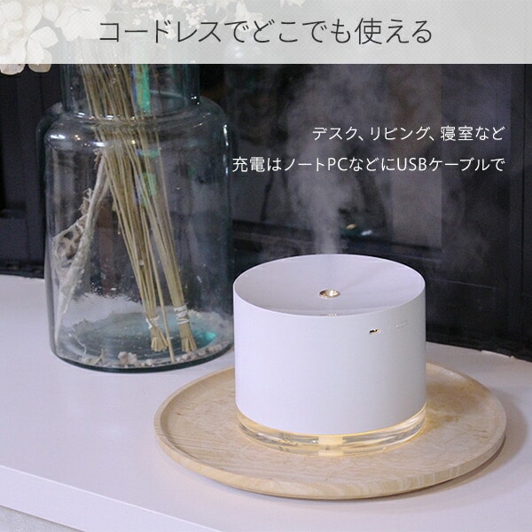 超音波式加湿器 うるおいポッド UP-1137 ウェルリッチ