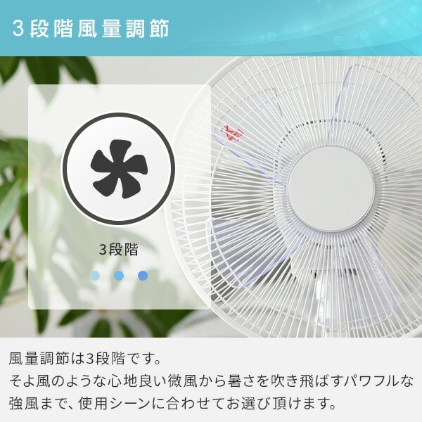 扇風機 立体首振り 風量3段階 入切タイマー YLRX-BK306(W) 山善 | 山善 ...