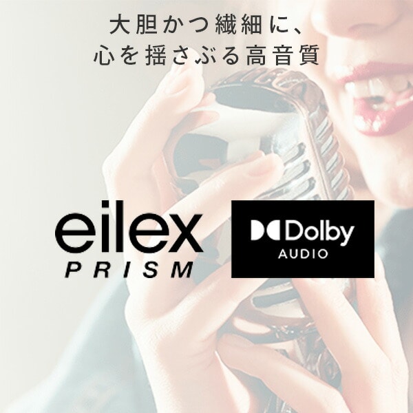 【代引不可】テレビ TV 65型 4K NEOエンジンLite搭載 HDR対応 外付けHDD録画対応 裏番組録画対応 65E6G ハイセンスジャパン Hisense