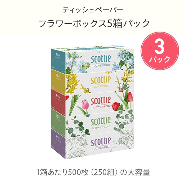 スコッティ 長持ち用品 詰め合わせ ティッシュペーパー トイレットペーパー キッチンタオル 日本製紙クレシア