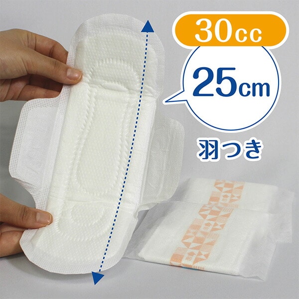 【10％オフクーポン対象】ポイズ さらさら素肌 Happinessin 吸水ナプキン 快適の少量用 12枚×24パック 日本製紙クレシア