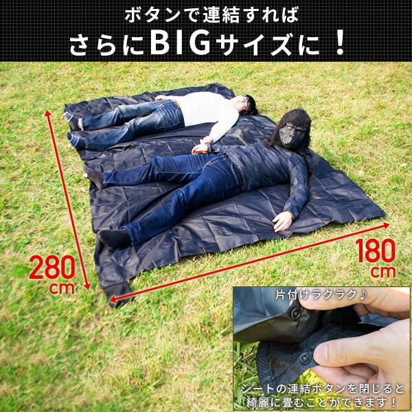 ゴリラシート EXECUTIVE(エグゼクティブ) タテ145 ヨコ180 GSEX-BL 太陽