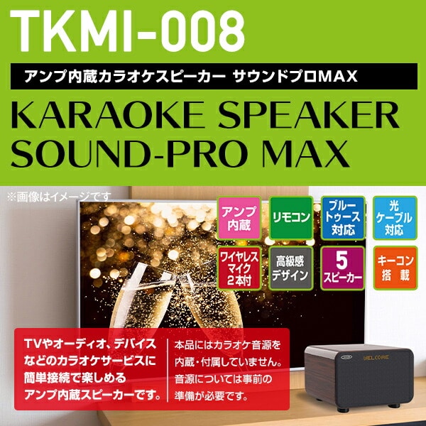 TO-PLAN カラオケ スピーカー サウンドプロ アンプ内蔵 TKMI-002オーディオ機器