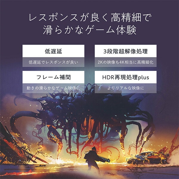 テレビ TV 75型 4K NEOエンジンplus2021搭載 HDR対応 外付けHDD録画対応 裏番組録画対応 75U8FG ハイセンスジャパン Hisense
