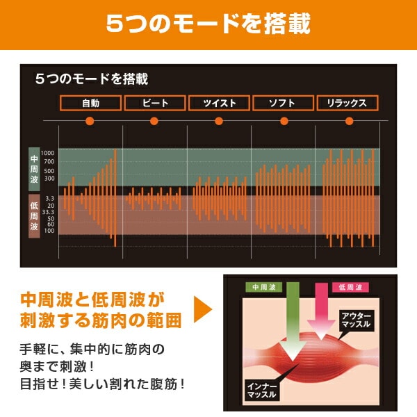 ZOOMZONE PRO ズームゾーン プロ EMSマシン ZZP-01 BWS