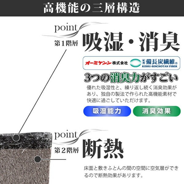 除湿マット すのこ 除湿シート シングル (6分割) 紀州備長炭繊維使用 幅96 長さ191 TJI-556 日本製 エアジョブ AirJob(R)