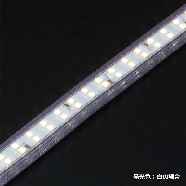 LEDテープライト片面発光タイプ(単体・赤) LTP-10(R) ハタヤ HATAYA