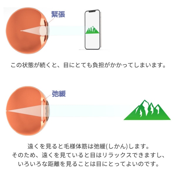 Otus オータス 視力回復 ビジョンセラピー - その他