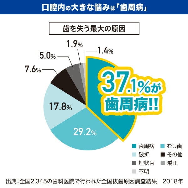 ラクレッシュEX 薬用 ハミガキジェル (80g) 2本セット ジェクス JEX