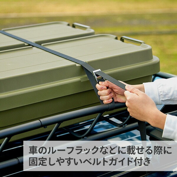 【10％オフクーポン対象】トランクカーゴ TC-70S LOW 40L 日本製 GHON155/GHON156/GHON157 リス RISU