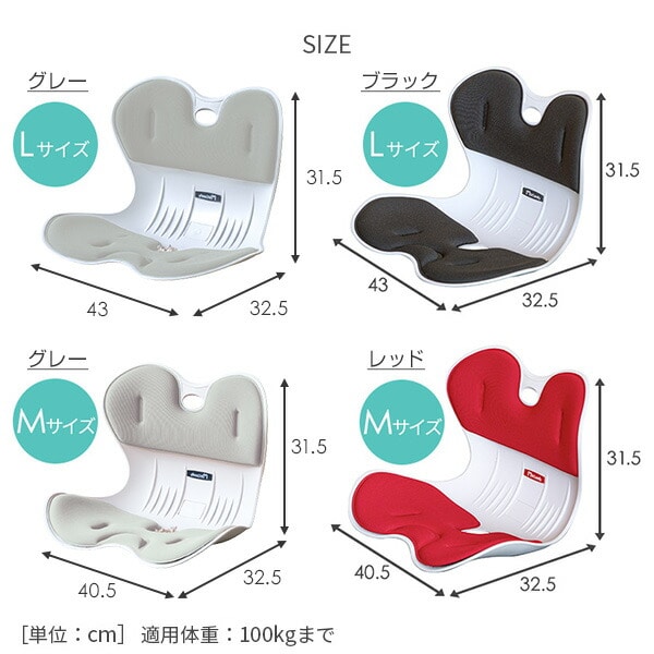 骨盤 サポート チェア 大人用 クッション シンプル マイコンフィ MYCOMFY ドリームウェア【10％オフクーポン対象】