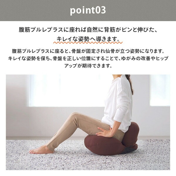 販売終了】腹筋プルレプラス おうちトレーニング エクササイズグッズ