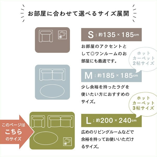 【10％オフクーポン対象】極厚 フランネル ラグ 3畳 200×240cm 洗える 抗菌 防臭 防ダニ YGR-2024 山善 YAMAZEN