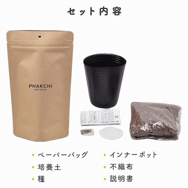 育てるスープ (パクチー/ミニキャロット/青ネギ/ホウレンソウ) 栽培セット 日本製 GD-795 聖新陶芸 SEISHIN