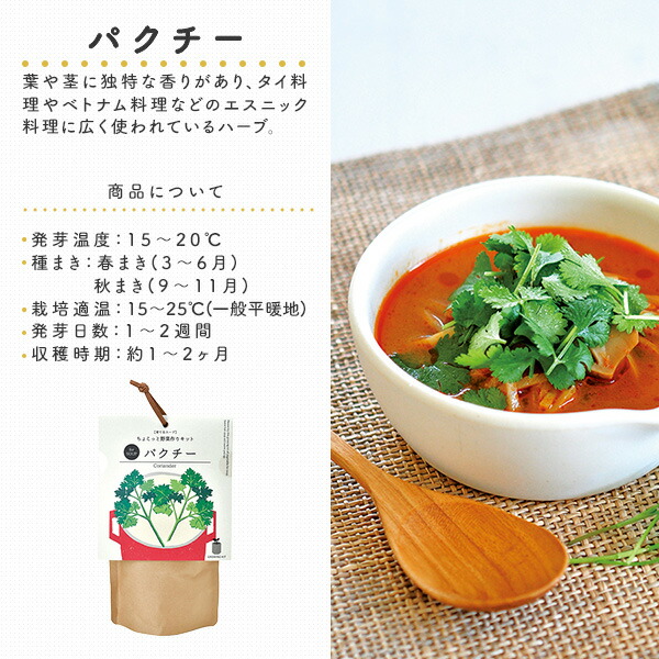 育てるスープ (パクチー/ミニキャロット/青ネギ/ホウレンソウ) 栽培セット 日本製 GD-795 聖新陶芸 SEISHIN