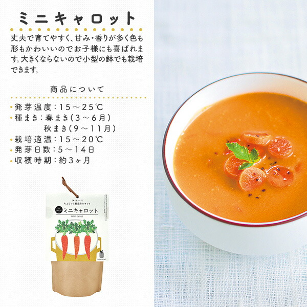育てるスープ (パクチー/ミニキャロット/青ネギ/ホウレンソウ) 栽培セット 日本製 GD-795 聖新陶芸 SEISHIN
