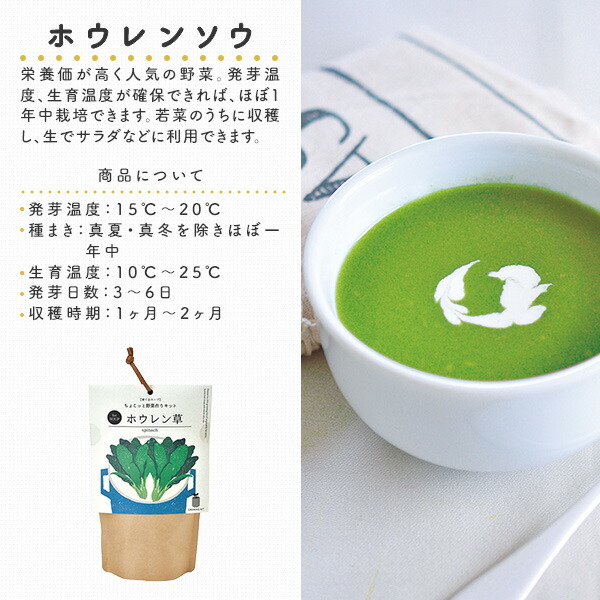 育てるスープ (パクチー/ミニキャロット/青ネギ/ホウレンソウ) 栽培セット 日本製 GD-795 聖新陶芸 SEISHIN