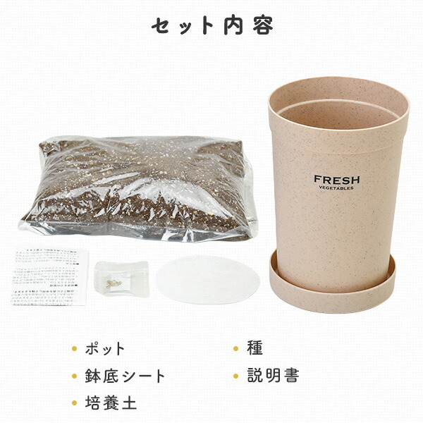 おうちで根菜栽培セット (だいこん/にんじん/ごぼう) 日本製 GD-891 聖新陶芸 SEISHIN