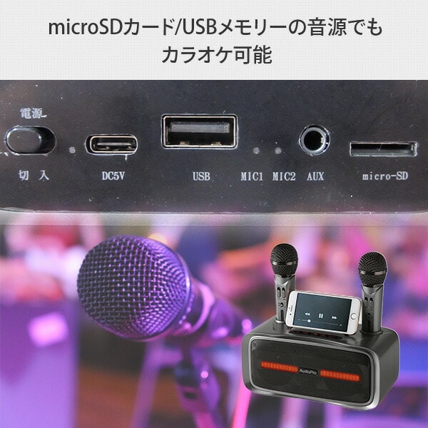 テレビ・オーディオ・カメラカラオケセット 拡声器 ワイヤレスマイク２本