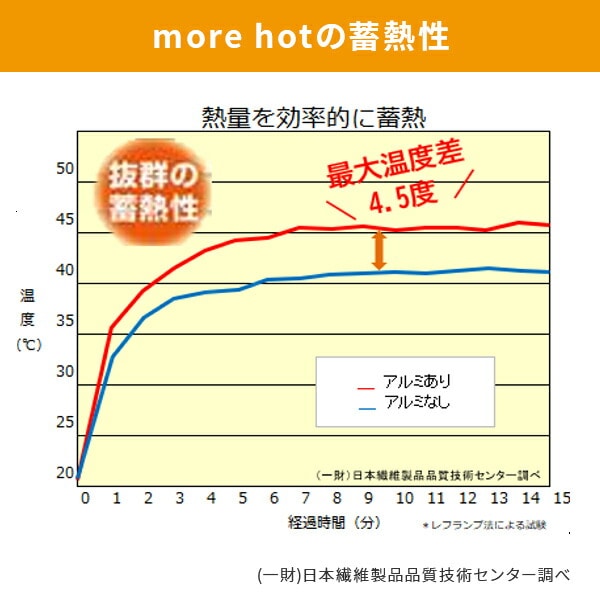 着る毛布 寝袋 more hot 暖暖あったか4WAYシュラフ メイダイ