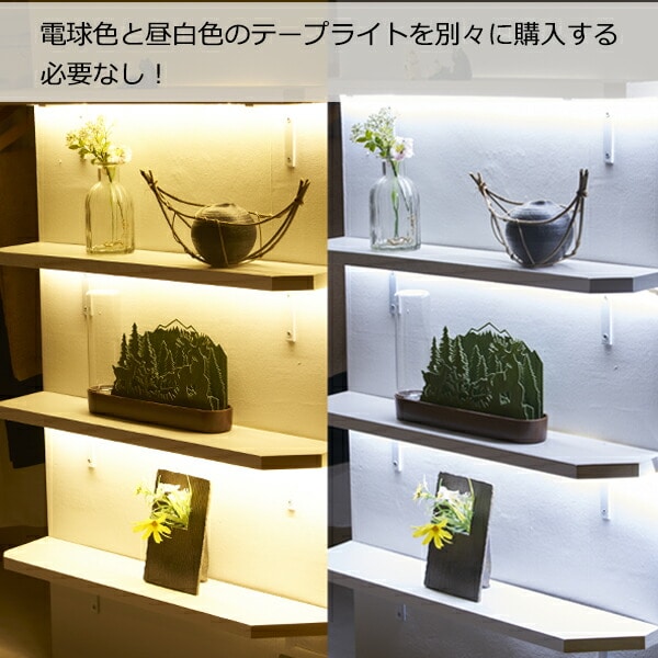 インテリアテープライト LED 3色調色 60W形相当 スターターキット 1m リモコン付き 6123121 アクティ ACTY