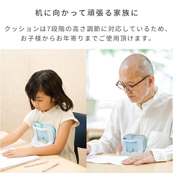 姿勢ただしくん 姿勢改善 クッション HO-20145 マリン商事