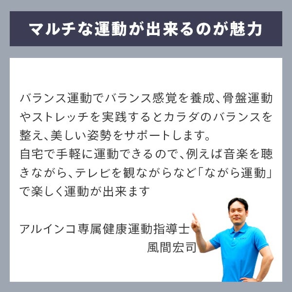 エクササイズボール 75cm 空気入れ 運動マニュアル付き 適応身長 約170cm以上 WBN075 アルインコ ALINCO
